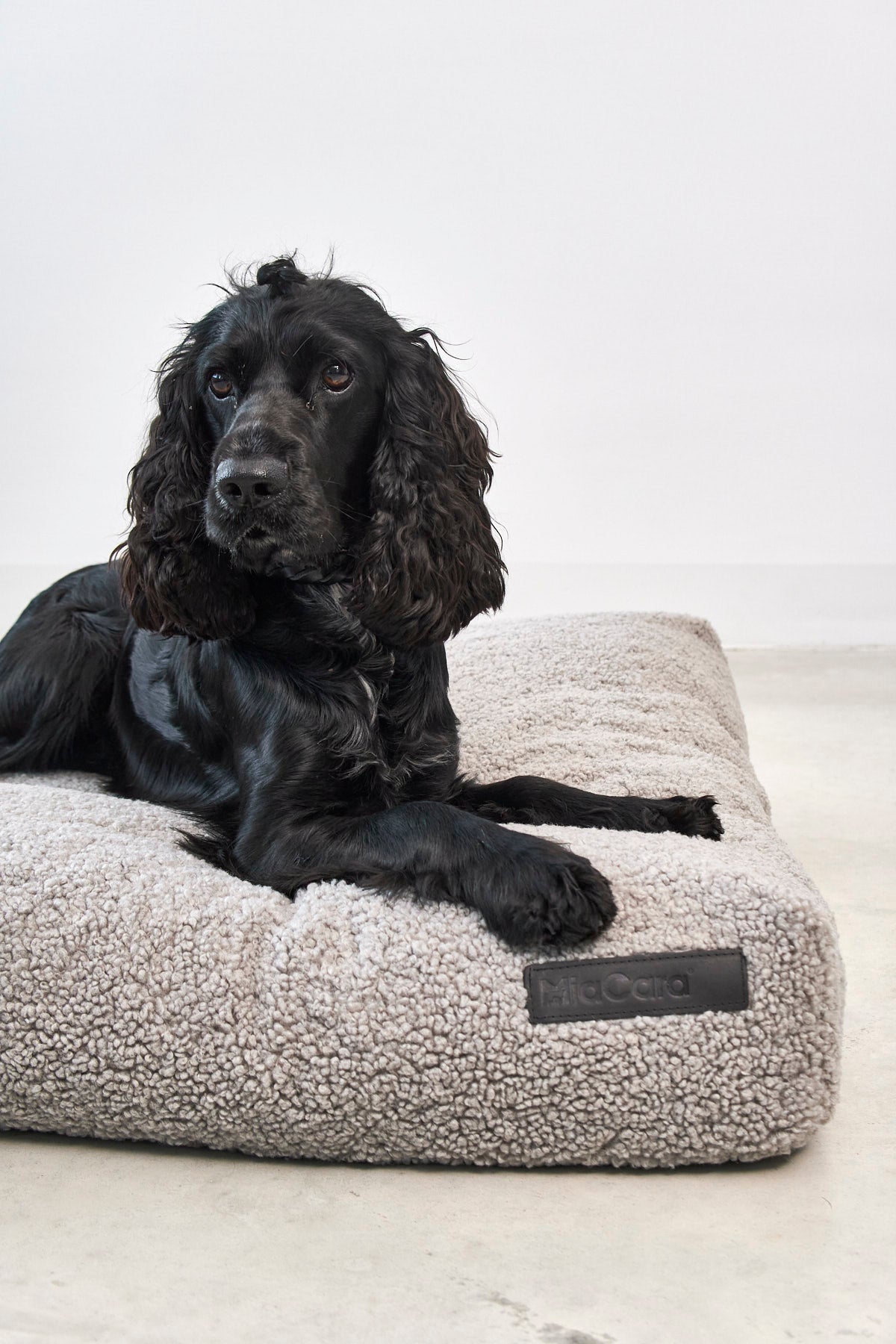 Hundekissen Senso Kiesel