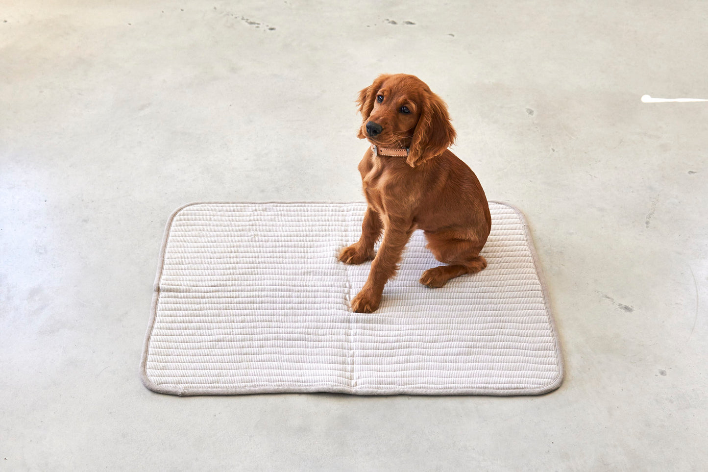 Hundedecke Onda Greige