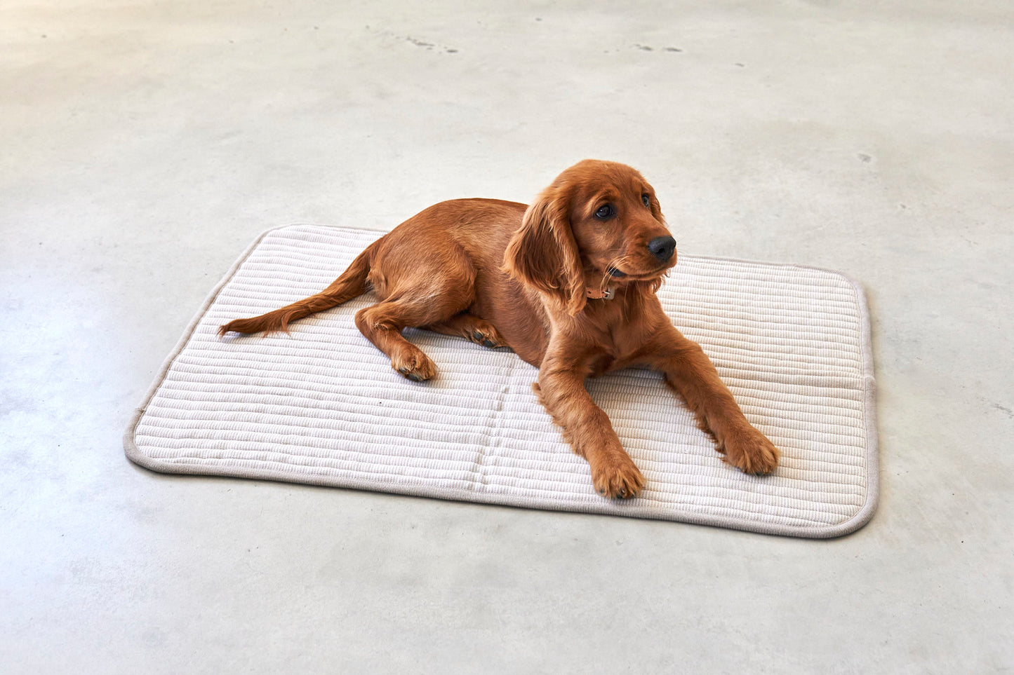 Hundedecke Onda Greige