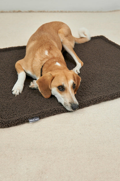 MIACARA Hundedecke Senso Schokolade – Bouclé-Decke in Schokolade