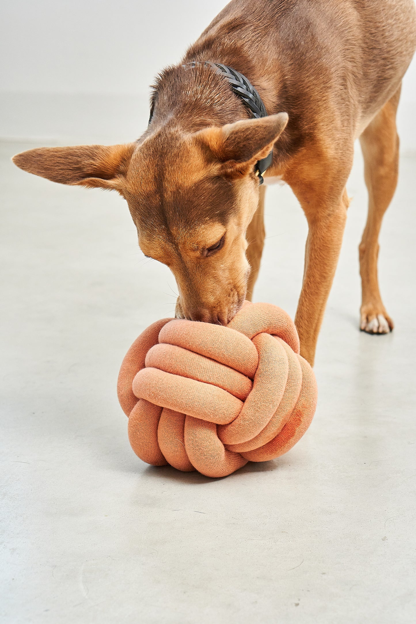 Schnüffelspielzeug Tubo Beton