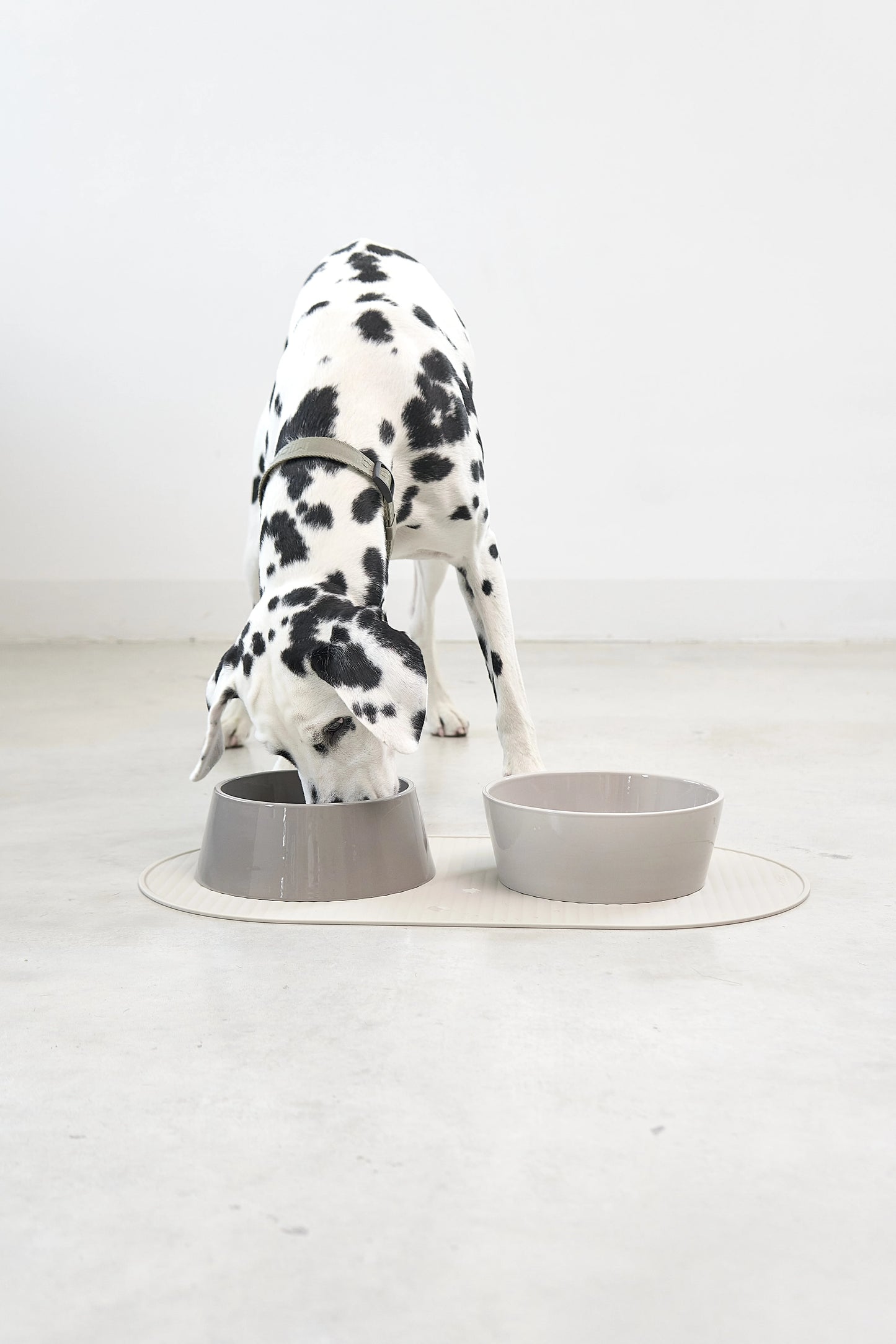 Hundenapfmatte Pasto Grolive