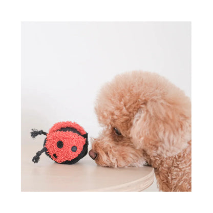 Hundespielzeug Ladybug Pop