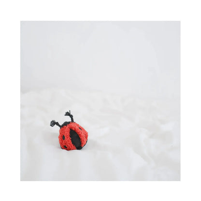Hundespielzeug Ladybug Pop