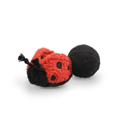 Hundespielzeug Ladybug Pop
