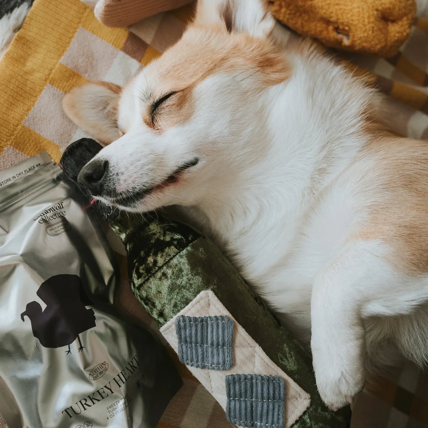 Hundespielzeug Merlot
