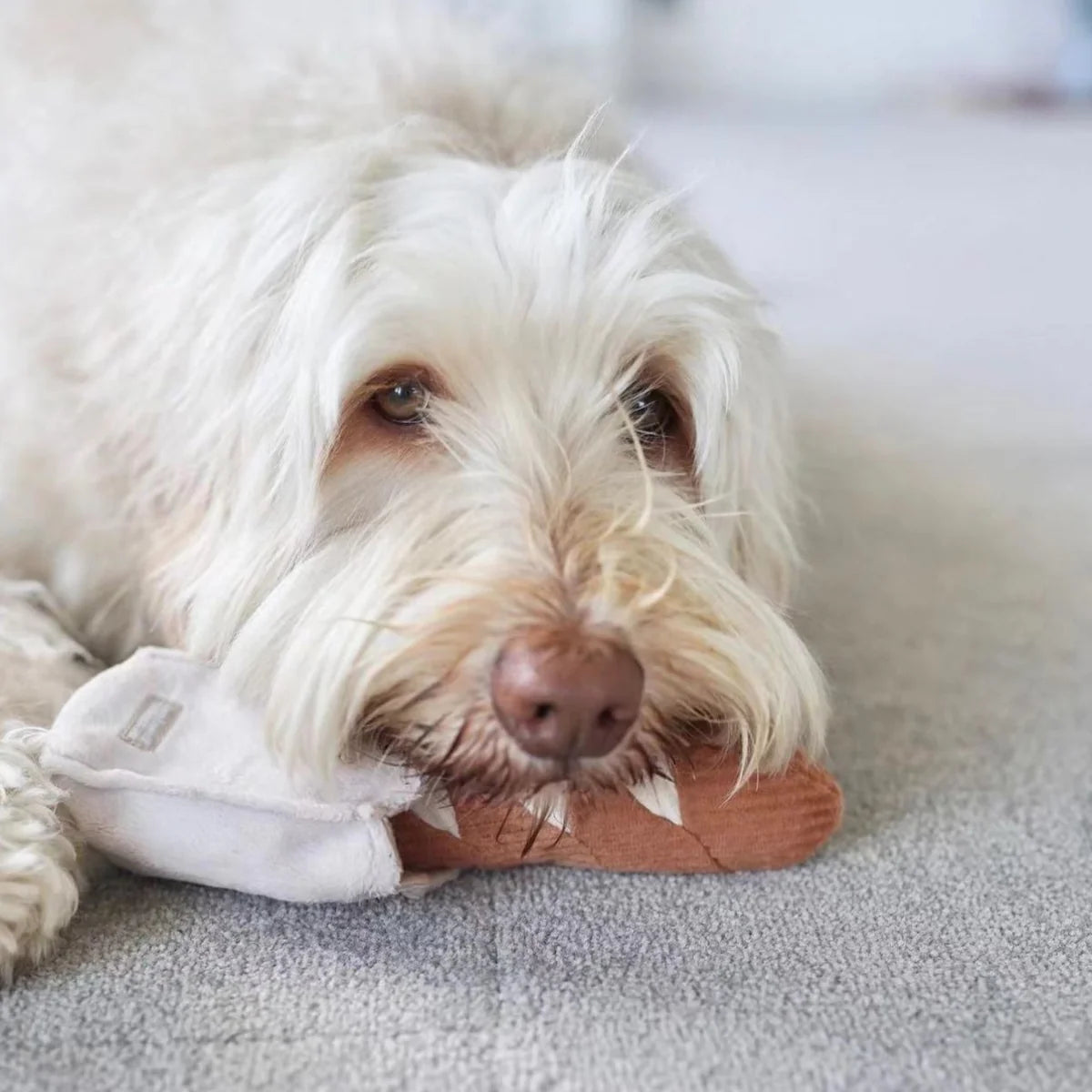 Hundespielzeug Baguette Mini