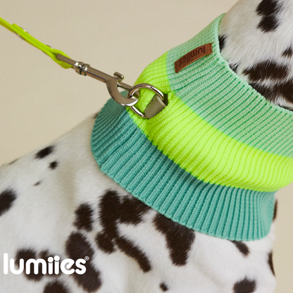 Hundeschal The Glow Loop Neon Matcha