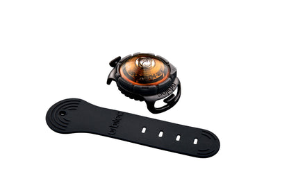 Sicherheitslicht Dog Dual Amber