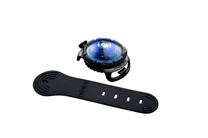 Sicherheitslicht Dog Dual Blue