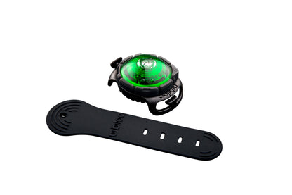 Sicherheitslicht Dog Dual Green