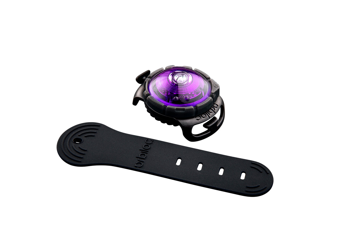 Sicherheitslicht Dog Dual Purple