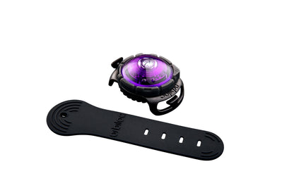 Sicherheitslicht Dog Dual Purple