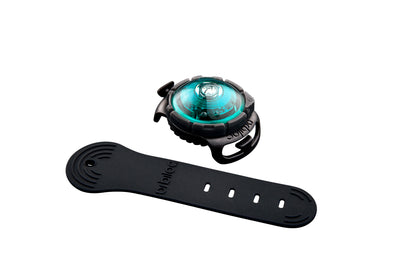 Sicherheitslicht Dog Dual Turquoise