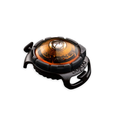 Sicherheitslicht Dog Dual Amber