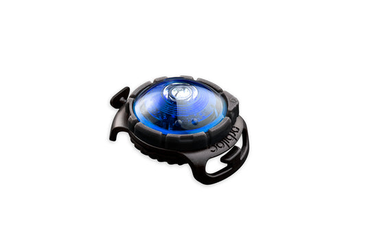 Sicherheitslicht Dog Dual Blue