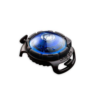 Sicherheitslicht Dog Dual Blue