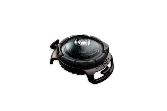 Sicherheitslicht Dog Dual Dark