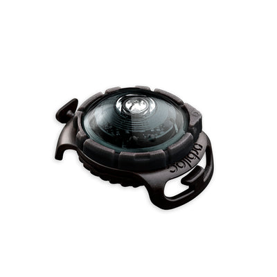 Sicherheitslicht Dog Dual Dark