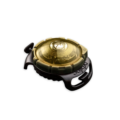 Sicherheitslicht Dog Dual Gold