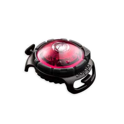 Sicherheitslicht Dog Dual Pink