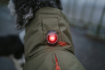 Sicherheitslicht Dog Dual Green