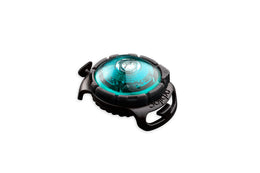 Orbiloc Dog Dual Türkis