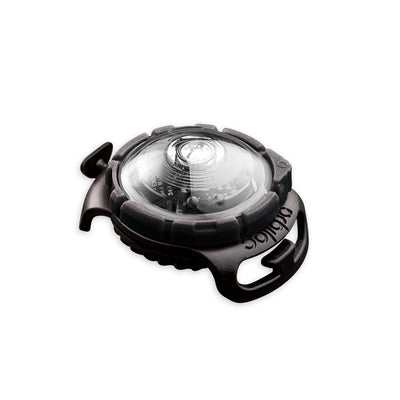 Sicherheitslicht Dog Dual White