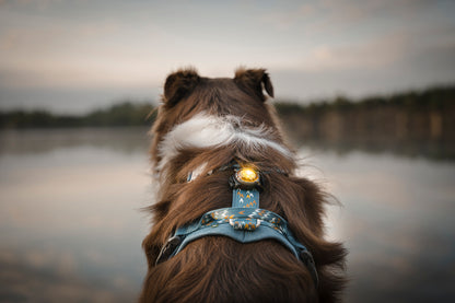 Sicherheitslicht Dog Dual Green