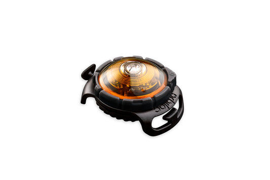 Sicherheitslicht Dog Dual Yellow