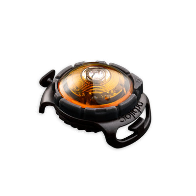 Sicherheitslicht Dog Dual Yellow