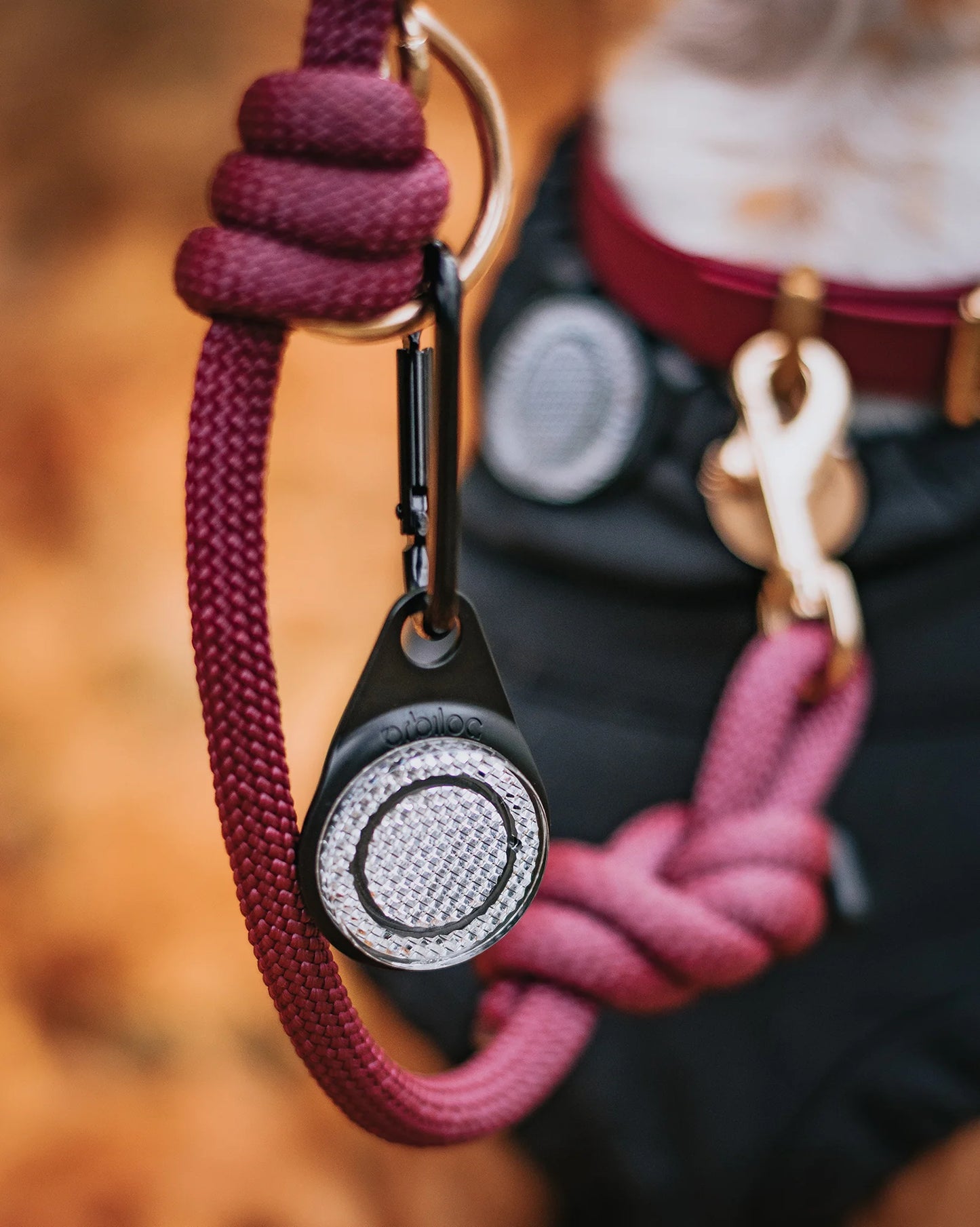 Reflective Carabiner