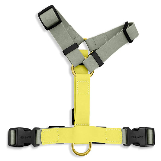 Hundegeschirr Outdoor Flex mit Haltegriff Lemon/Seagrass