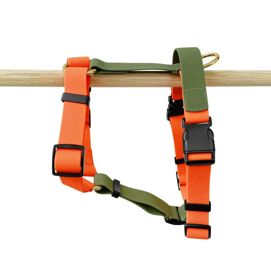 Hundegeschirr Outdoor Flex mit Haltegriff Orange/Grün