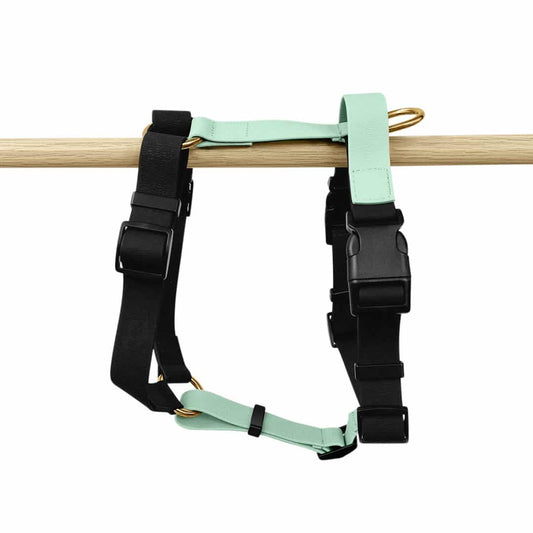 Hundegeschirr Outdoor Flex mit Haltegriff Schwarz/Mint