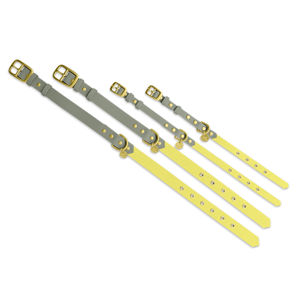 Hundehalsband Outdoor Flex Lemon/Seagrass