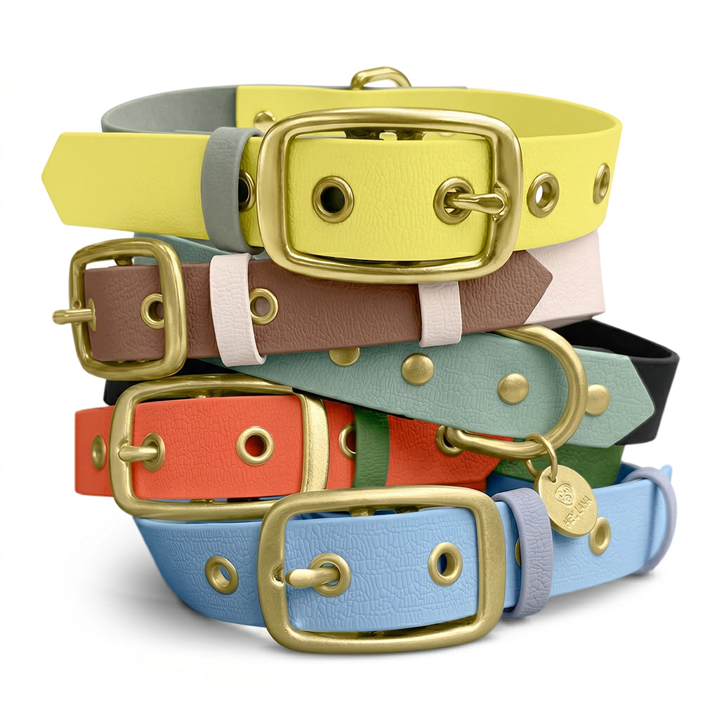 Hundehalsband Outdoor Flex Lemon/Seagrass