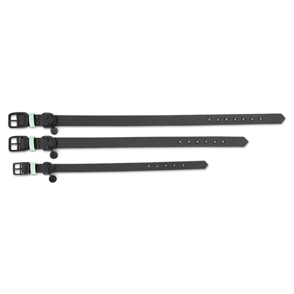 Hundehalsband Outdoor Sport Schwarz/Mint