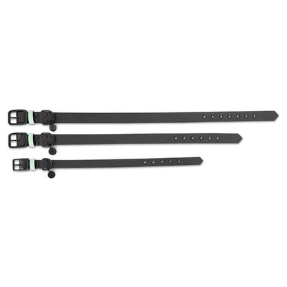 Hundehalsband Outdoor Sport Schwarz/Mint