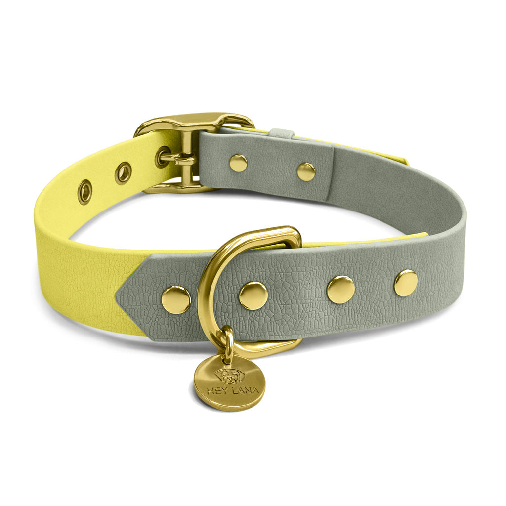 Hundehalsband Outdoor Flex Lemon/Seagrass