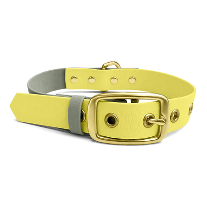 Hundehalsband Outdoor Flex Lemon/Seagrass