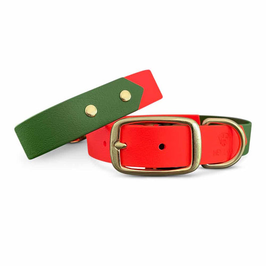 Hundehalsband Outdoor Sport Orange/Grün