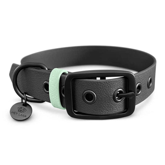 Hundehalsband Outdoor Sport Schwarz/Mint