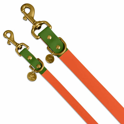 Hundeleine Outdoor Flex Orange/Grün