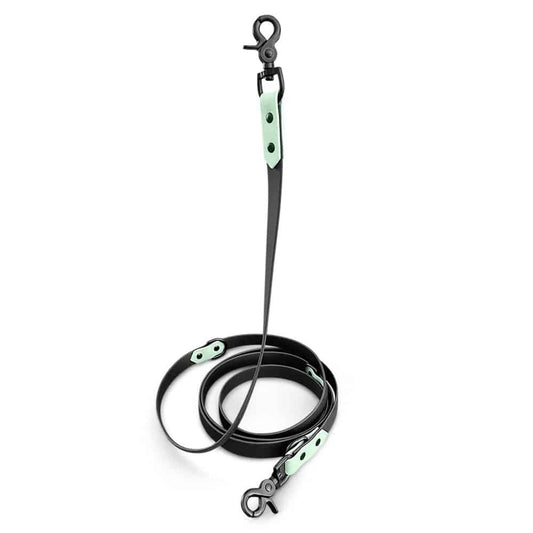 Hundeleine Outdoor Sport Schwarz/Mint