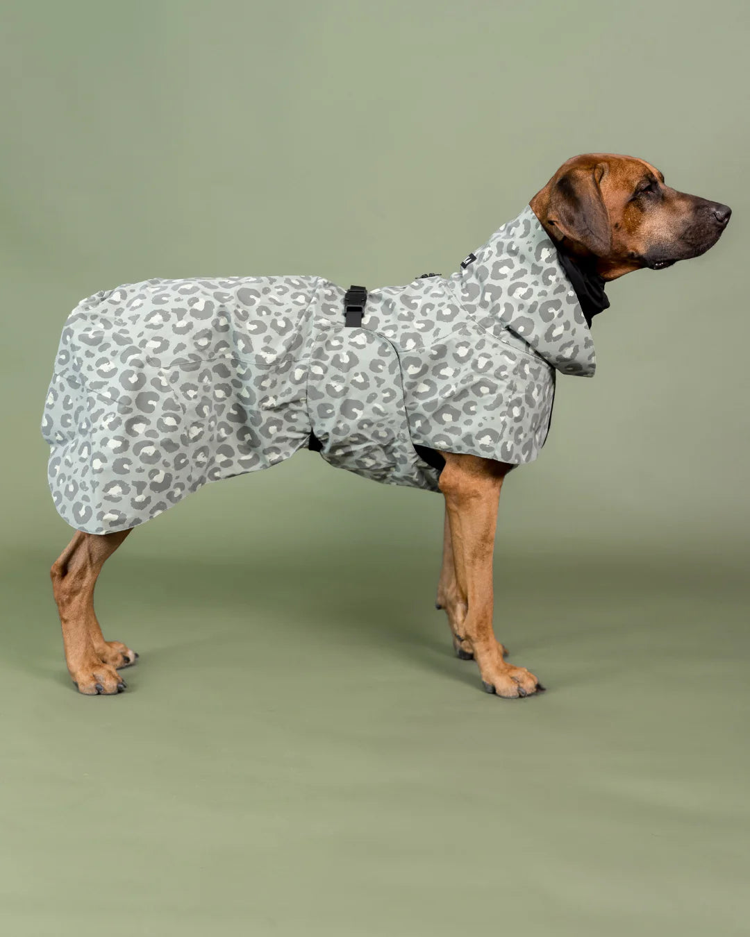 Regenmantel für Hunde Visibility Lite Grün Leo