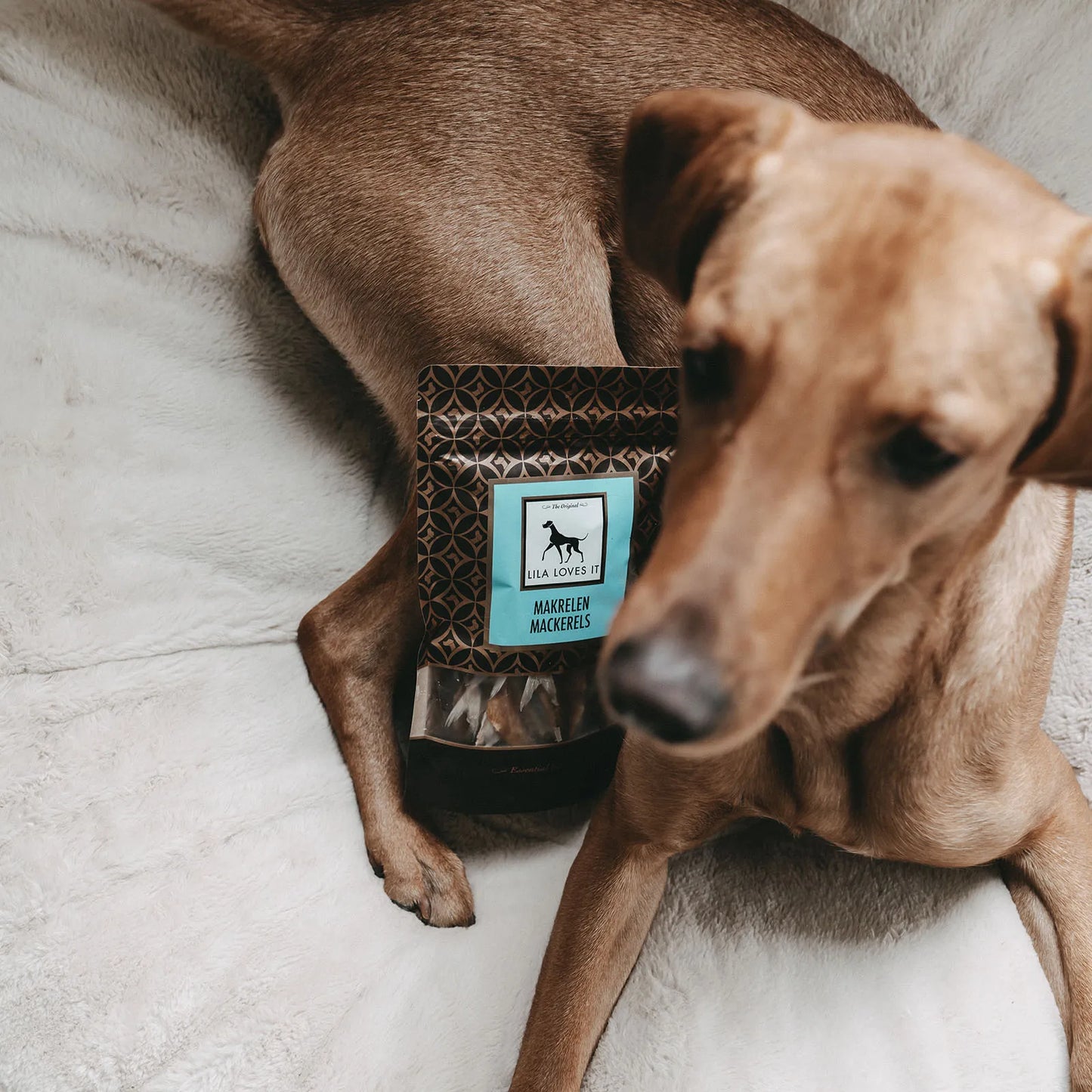 Makrelen für Hunde 100g