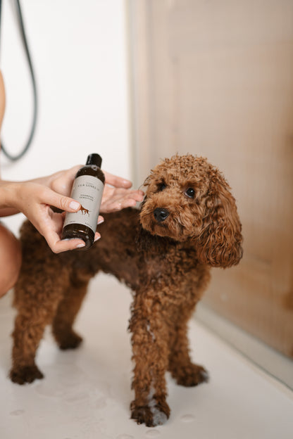 Hundeshampoo Sensitive