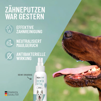 Denta Vital Spray 120ml