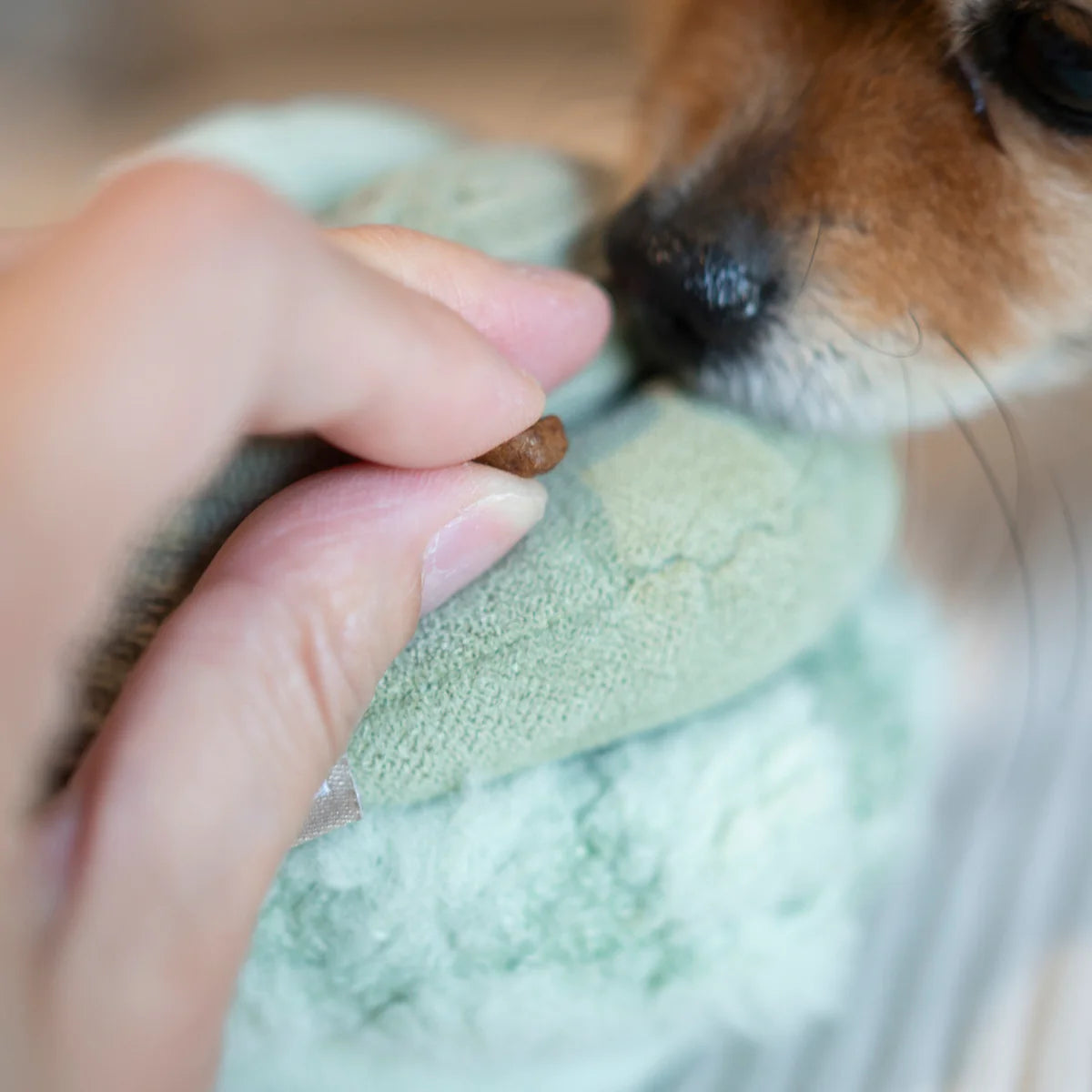 Schnüffelball Toto Small Fern